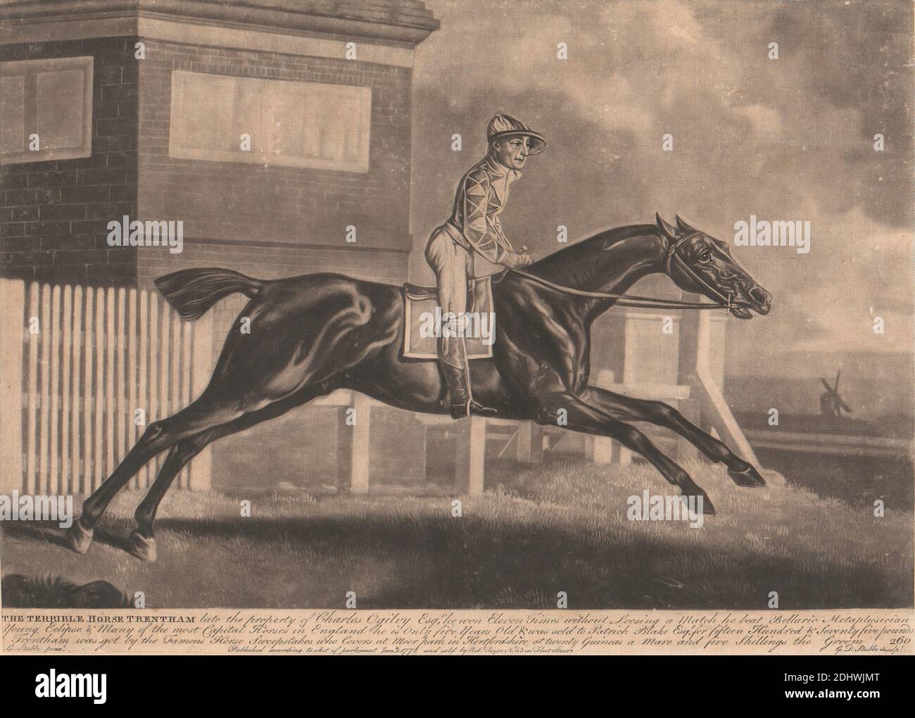 The Terrible Horse 'Trentham', George Townly Stubbs, 1748–1815, britisch, nach George Stubbs, 1724–1806, britisch, 1772, Mezzotint, nummeriert `206' unten rechts, Blatt: 9 1/8 x 13 5/8in. (23.2 x 34,6 cm Stockfoto